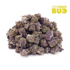 Buy Purple Rockstar (AAAA) – Popcorn Nugs online Canada