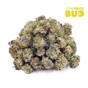 Buy Mango Tango (AAAA) – Popcorn Nugs online Canada