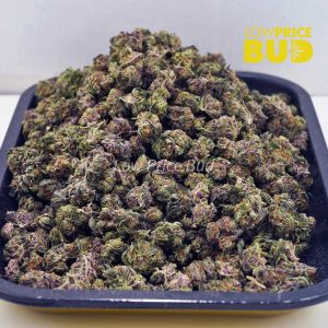 Buy Platinum Blackberry (AAAA) – Popcorn Nugs online Canada