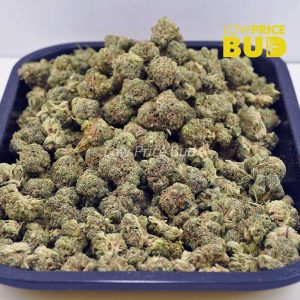 Buy Rainbow Driver (AAAA) – Popcorn Nugs online Canada