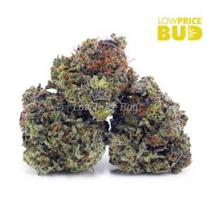 Buy Build Your Own Oz 8 x 3.5g online Canada