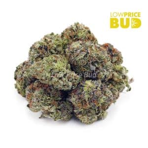 Corleone Kush (AAA) Buy Corleone Kush (AAA) online Canada