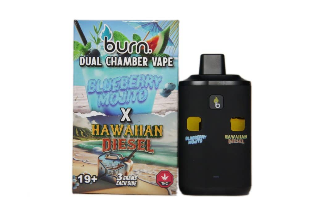 Buy Burn Extracts – Dual Chamber Disposable Vape – Blueberry Mojito + Hawaiian Diesel (3G +3G) online Canada