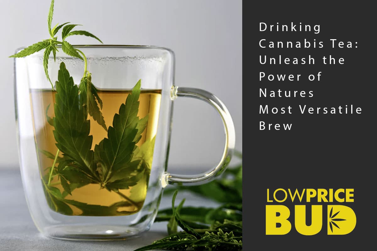cannabis tea