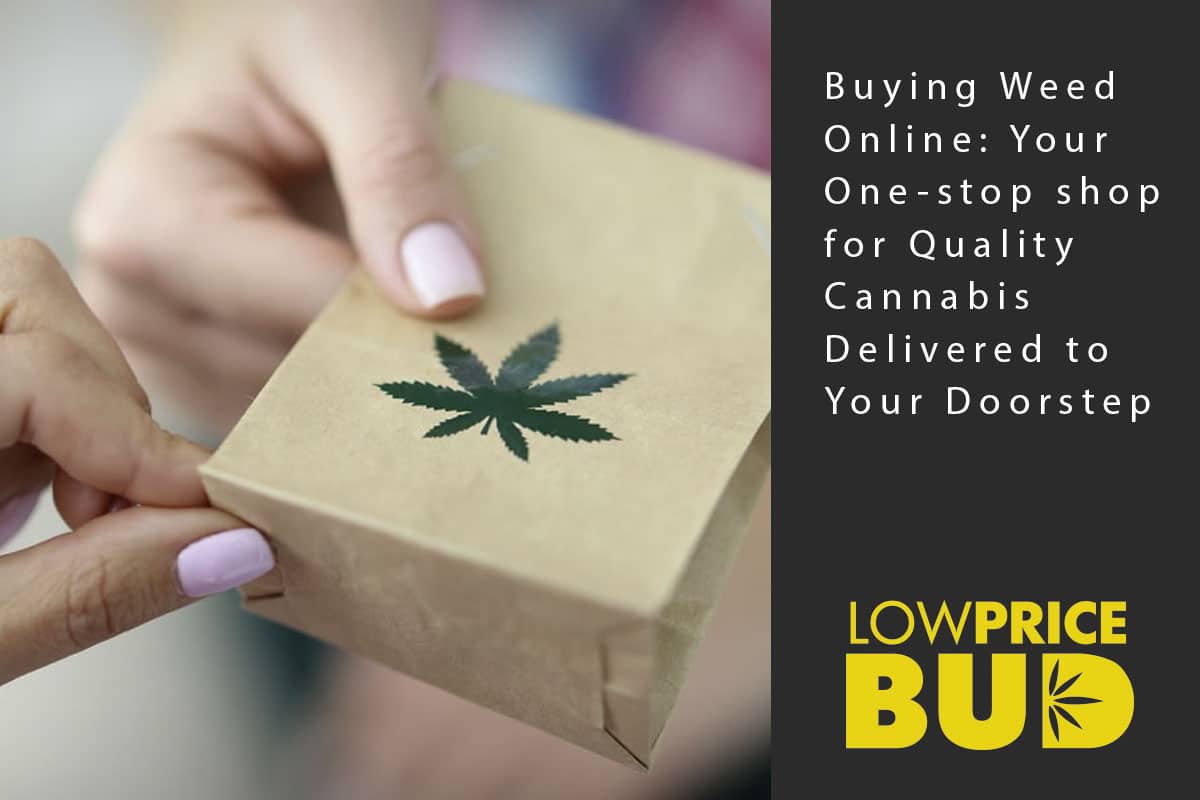 weed delivery