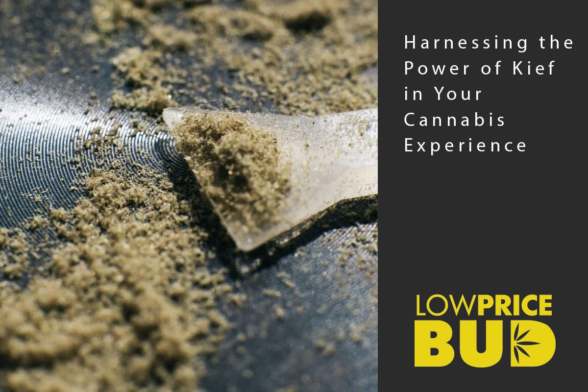 kief