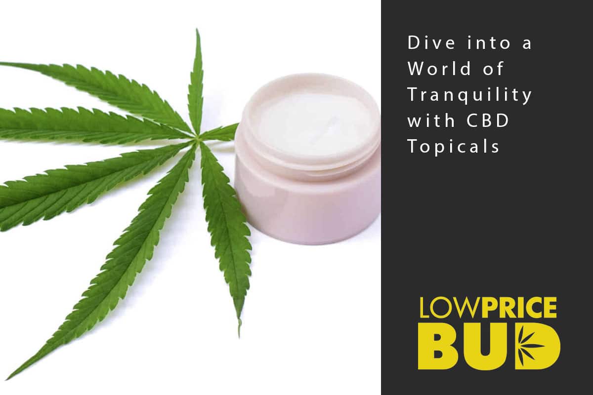 cbd topicals
