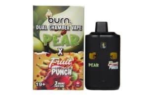 Buy Burn Extracts – Dual Chamber Disposable Vape – Pear + Fruit Punch (3G +3G) online Canada