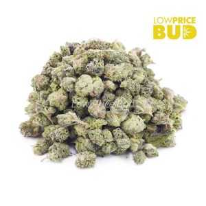 Buy Banana Pie (AAAA) – Popcorn Nugs online Canada