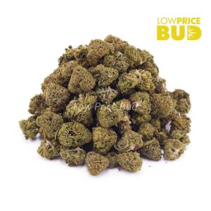 Buy Ghost OG (AAAA) – Popcorn Nugs online Canada