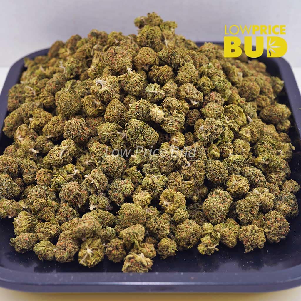 Ghost OG (AAAA) – Popcorn Nugs Buy Ghost OG (AAAA) – Popcorn Nugs online Canada