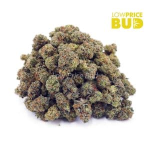 Ghost OG (AAAA) – Popcorn Nugs Buy Ghost OG (AAAA) – Popcorn Nugs online Canada