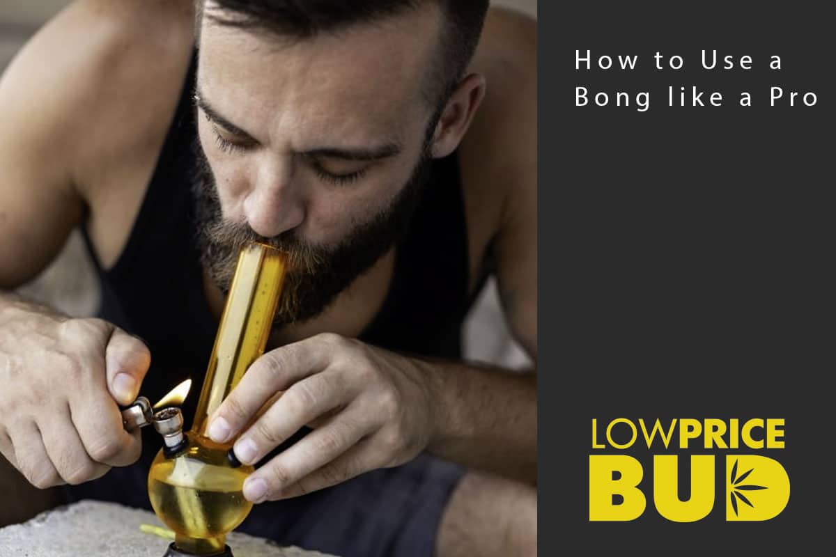 bong like a pro
