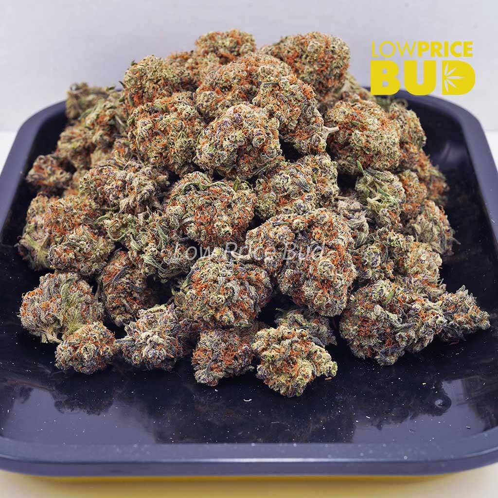 Pink Death Star (AAA) Buy Pink Death Star (AAA) online Canada