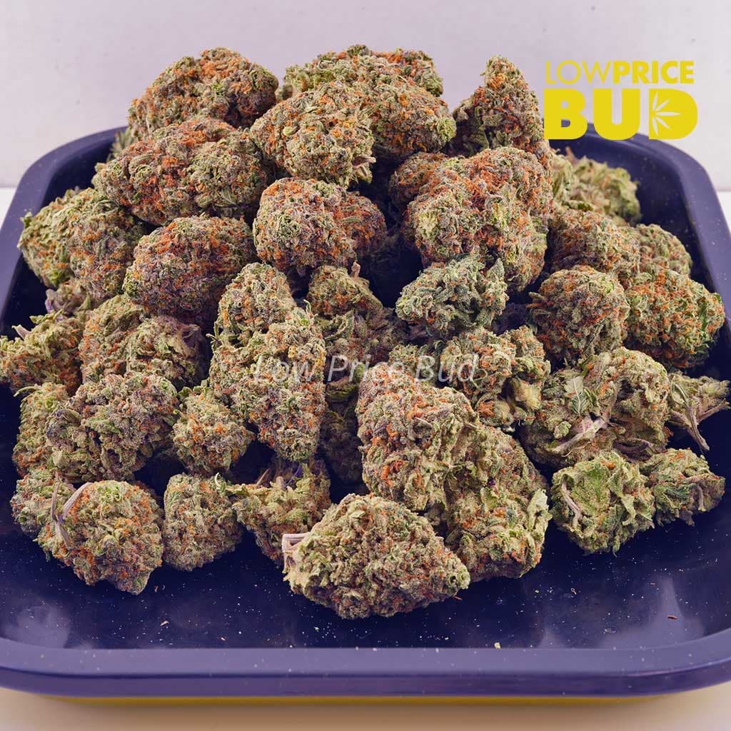 Atomic Northern Lights (AAA) Buy Atomic Northern Lights (AAA) online Canada