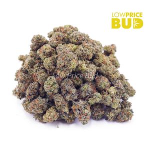 Buy Gorilla OG (AAAA) – Popcorn Nugs online Canada