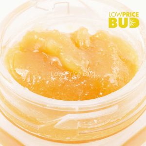 Buy Caviar – Green Crack online Canada