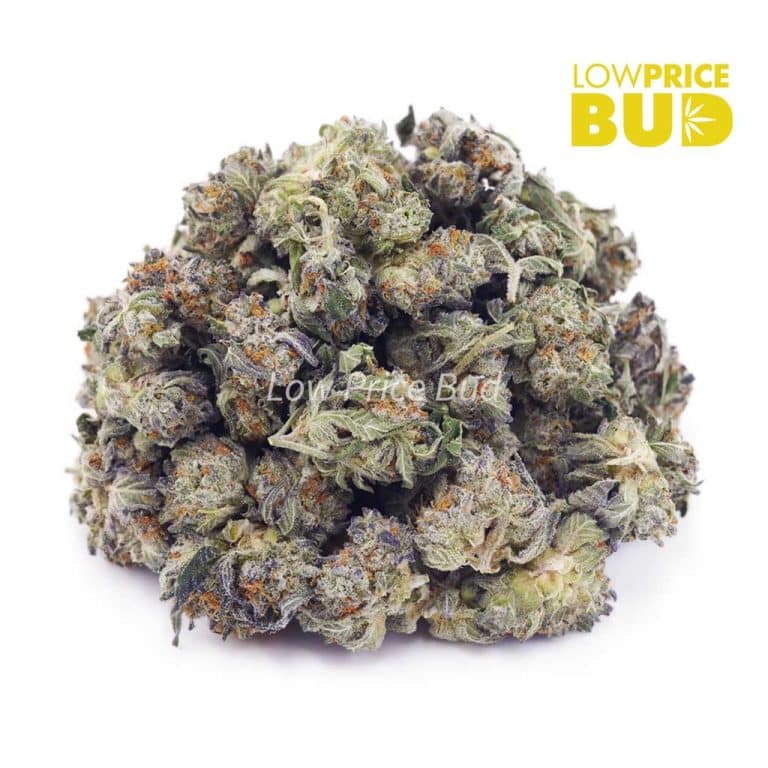 Scooby Snacks (AAAA) Popcorn Nugs Low Price Bud