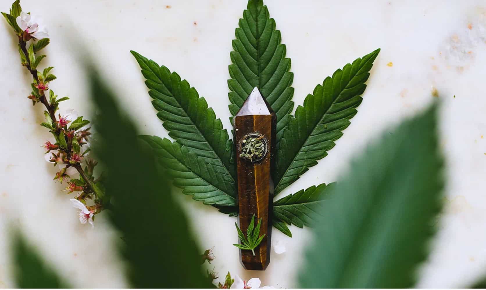 Order weed online in Canada in just few easy steps & have your greens delivered to your doorstep affordably. Find out how to order pot in Canada!