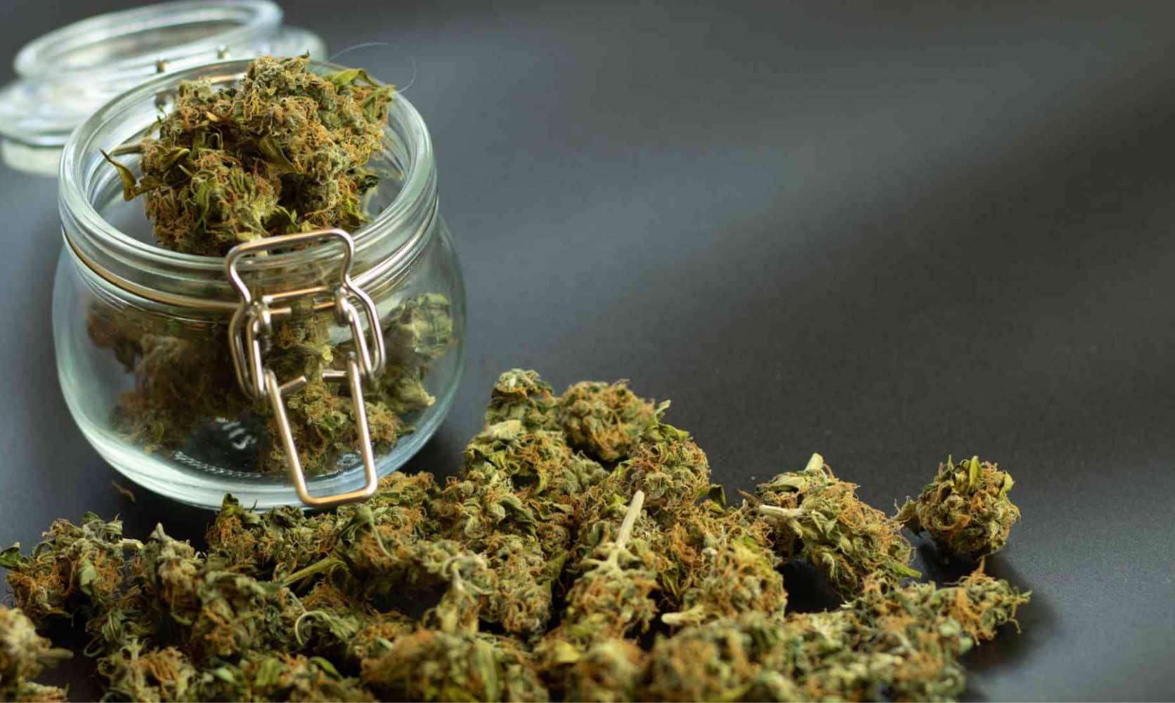 We’ve revealed the newest dispensary discounts to help you save money while smoking top-shelf greens. Explore our best $5 products at LPB!