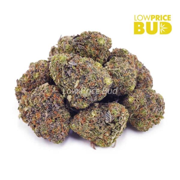 Buy Sherbert Cake (AAA) online Canada