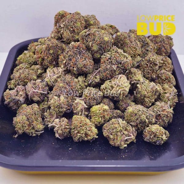 Buy Sherbert Cake (AAA) online Canada