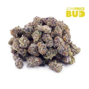Buy Purple Candy (AAAA) – Popcorn Nugs online Canada