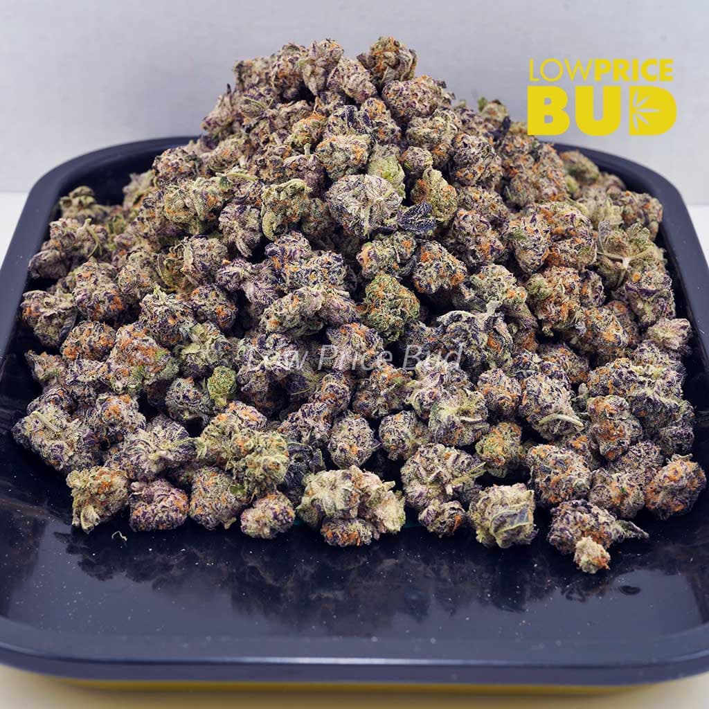 Purple Candy (AAAA) – Popcorn Nugs Buy Purple Candy (AAAA) – Popcorn Nugs online Canada