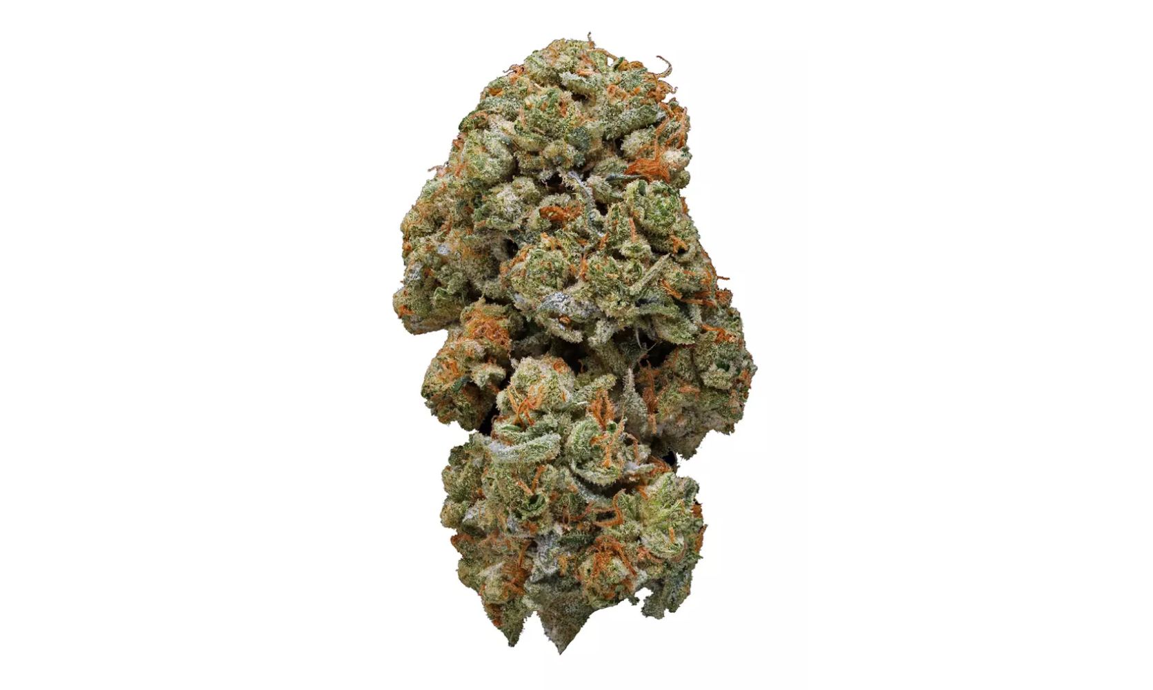 Looking to experience the true Hawaiian heritage but can't get there? Grab a pack of Maui Wowie strain and customize your island experience.Â