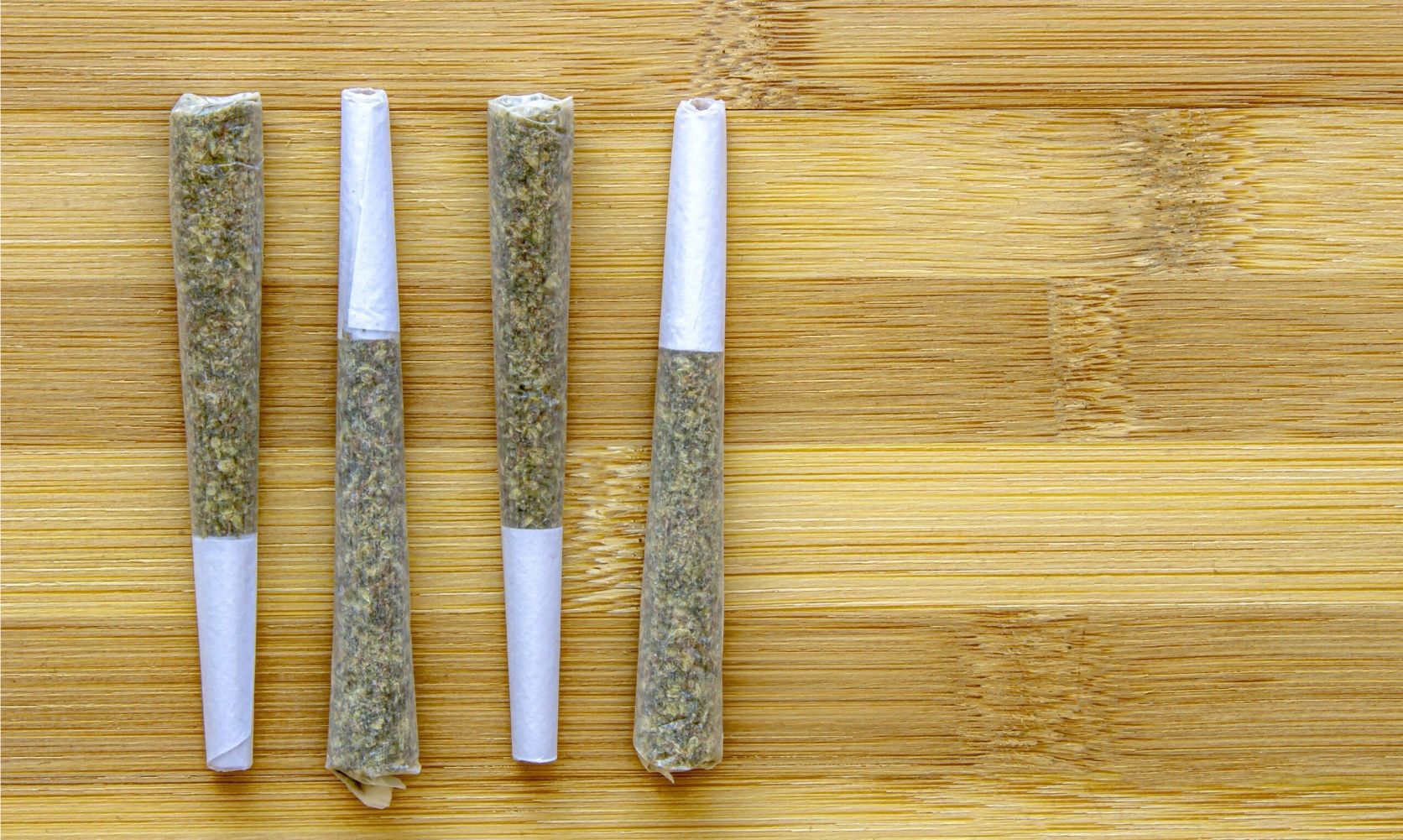 Top rated pre rolls in Canada are affordable, premium quality, and effective. Get the best infused pre rolls online and find out why they're worth it!Â