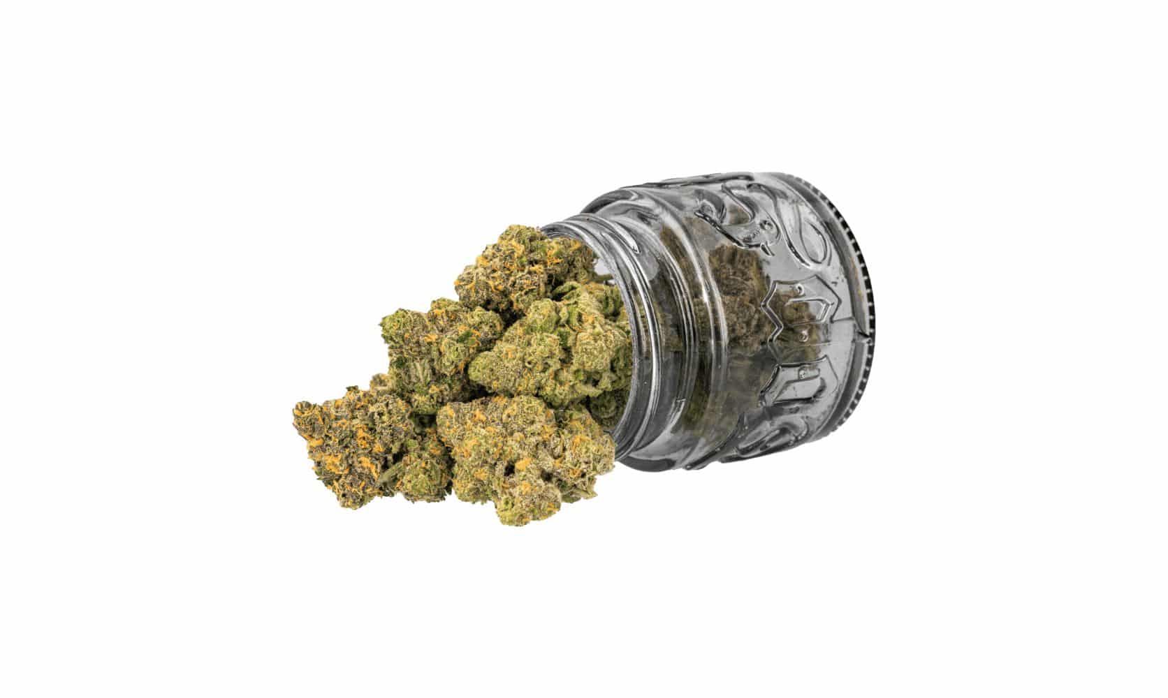 Looking for the best deals on weed in Canada? This guide tells you how to find quality cannabis at the lowest prices with additional tips on savings.