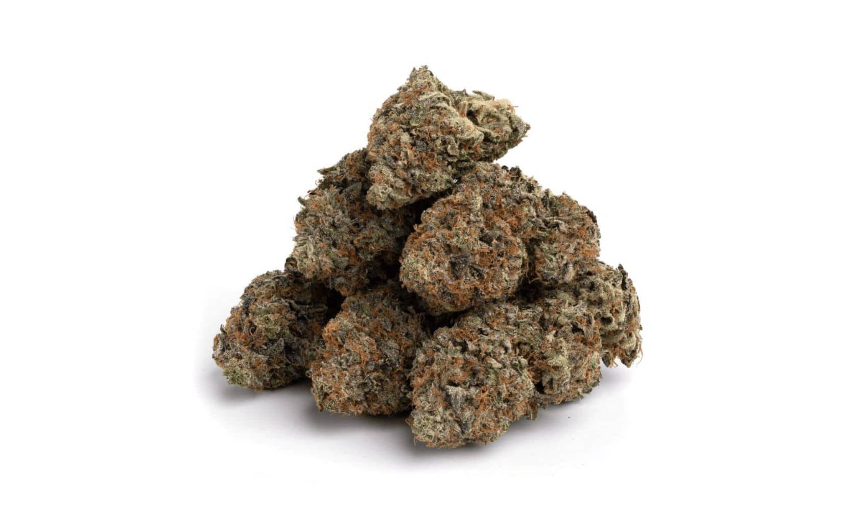 Weed is easily available, but premium stash is hard to come by. Meet the Alaskan Thunder Fuck strain, a premium bud available at our dispensary.
