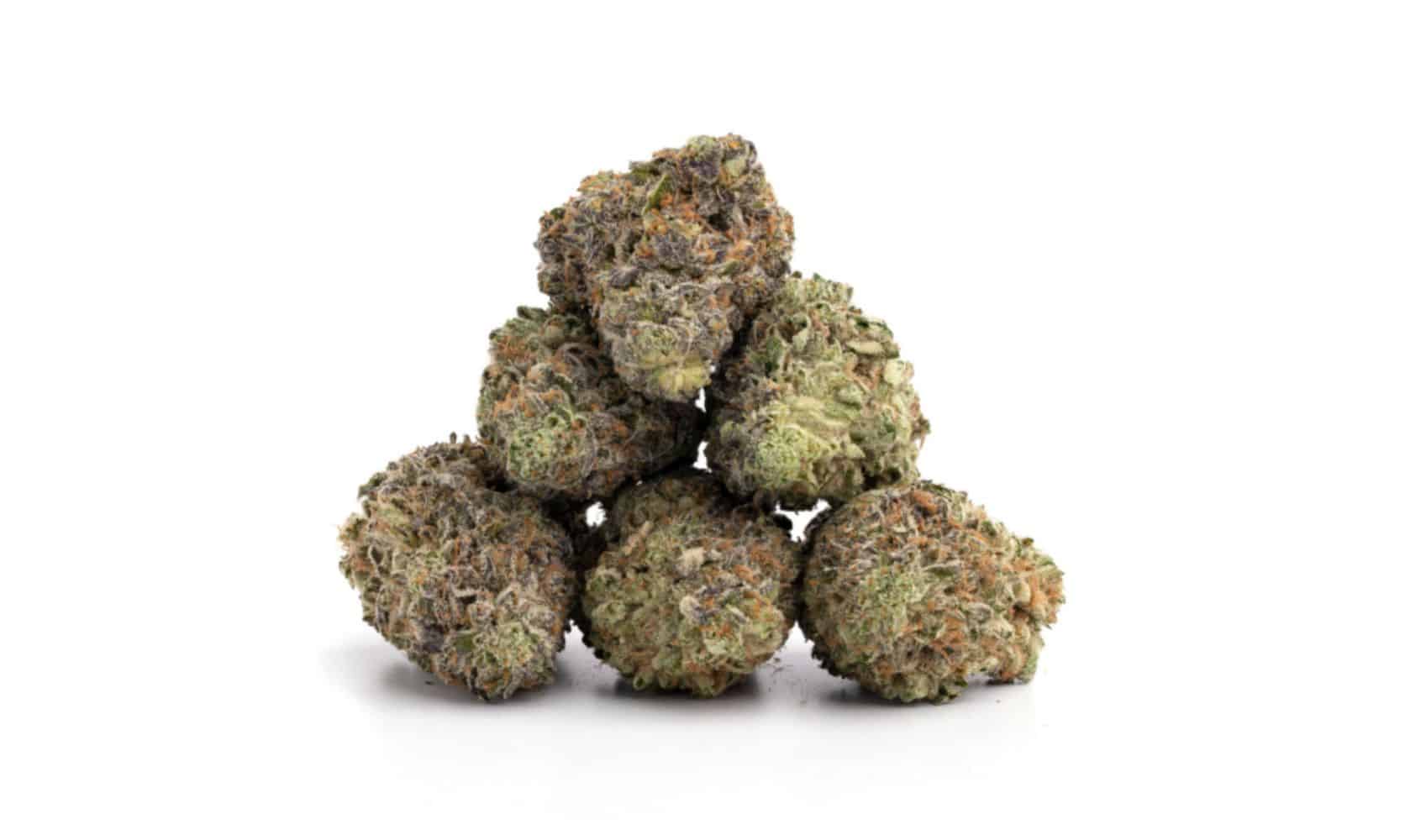 Buy cheap weed online in Canada from a trusted online cannabis store. Explore quality cannabis at unbeatable prices. Fast shipping nationwide!