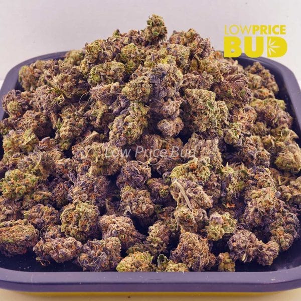 Buy Incredible Hulk (AAAA) – Popcorn Nugs online Canada
