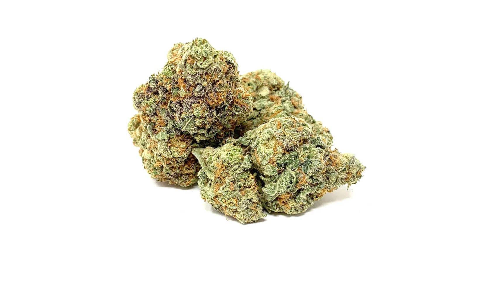 Discover GSC strain, a popular hybrid known for its euphoric effects, creativity boost & balanced high. Shop premium GSC at our online dispensary!