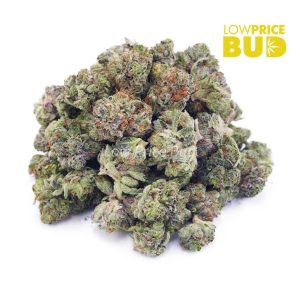 Buy Pink Kush (AAAA) – Popcorn Nugs online Canada