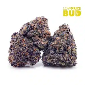 Buy Purple Freeze (Craft Cannabis) online Canada