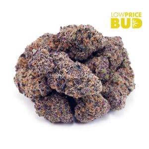 Purple Freeze (Craft Cannabis) Buy Purple Freeze (Craft Cannabis) online Canada