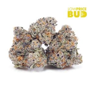 Buy White Fire OG (AAAA) online Canada
