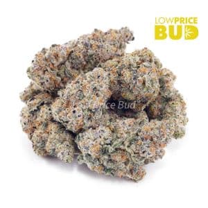 Buy White Fire OG (AAAA) online Canada