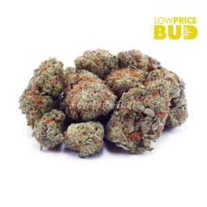 Ghost Train Haze (AAA) Buy Ghost Train Haze (AAA) online Canada