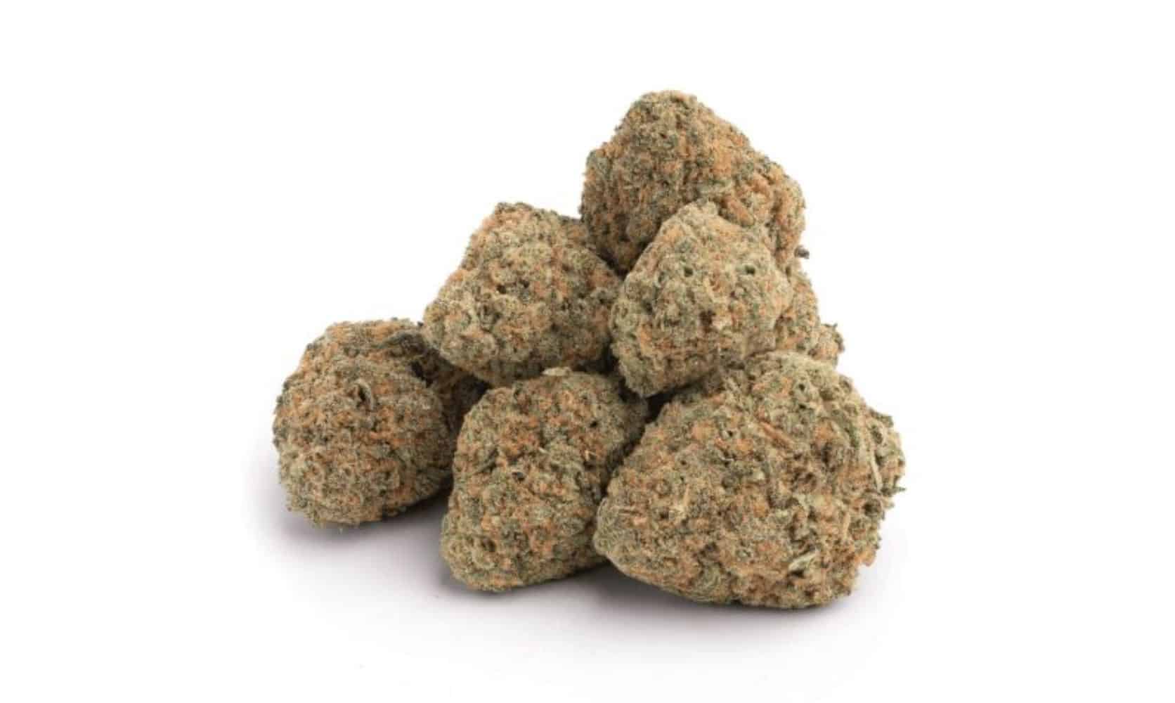 Learn why Red Congolese strain is a cannabis icon. Discover its origins, effects, terpene profile, and tips for the best experience with this sativa.