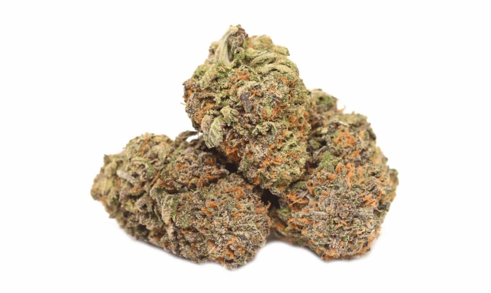 Here's the ultimate guide to the White Runtz strain. From its balanced effects to its sweet aroma, discover why it's a must-try for cannabis lovers.