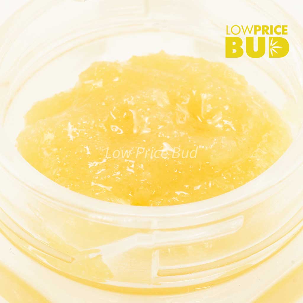 Buy Caviar – Cotton Candy Kush online Canada