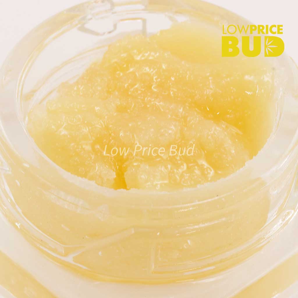 Buy Caviar – Master Yoda online Canada