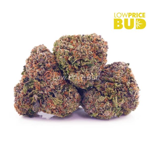 Buy Rainbow Kush (AAA) online Canada