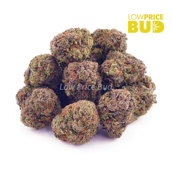 Buy Rainbow Kush (AAA) online Canada