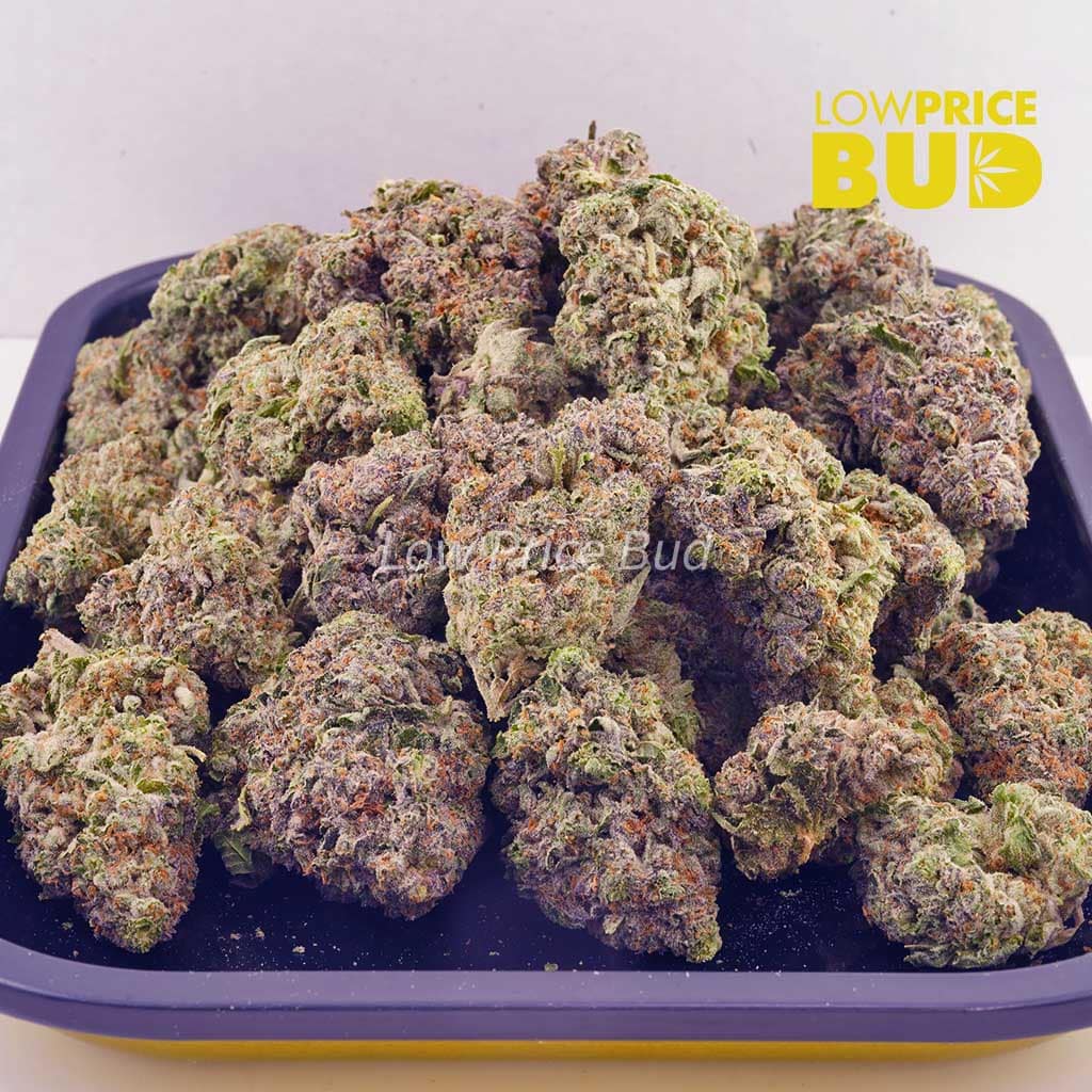 Alien Cookies (AAAA) Buy Alien Cookies (AAAA) online Canada