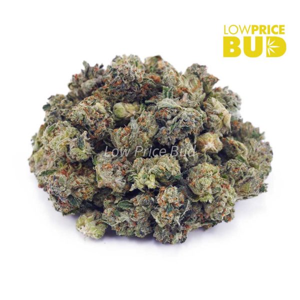Buy Death Star (AA) online Canada