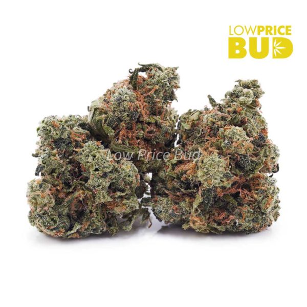 Buy Cosmic Cookies (AA) online Canada
